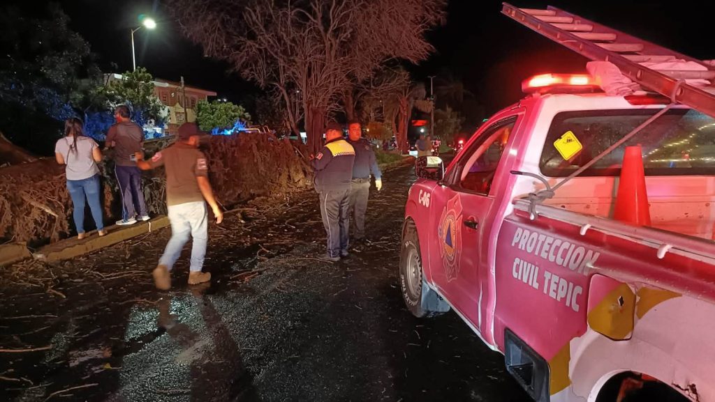 Tormenta provoca caída de cinco árboles en Tepic; uno impacta un vehículo
