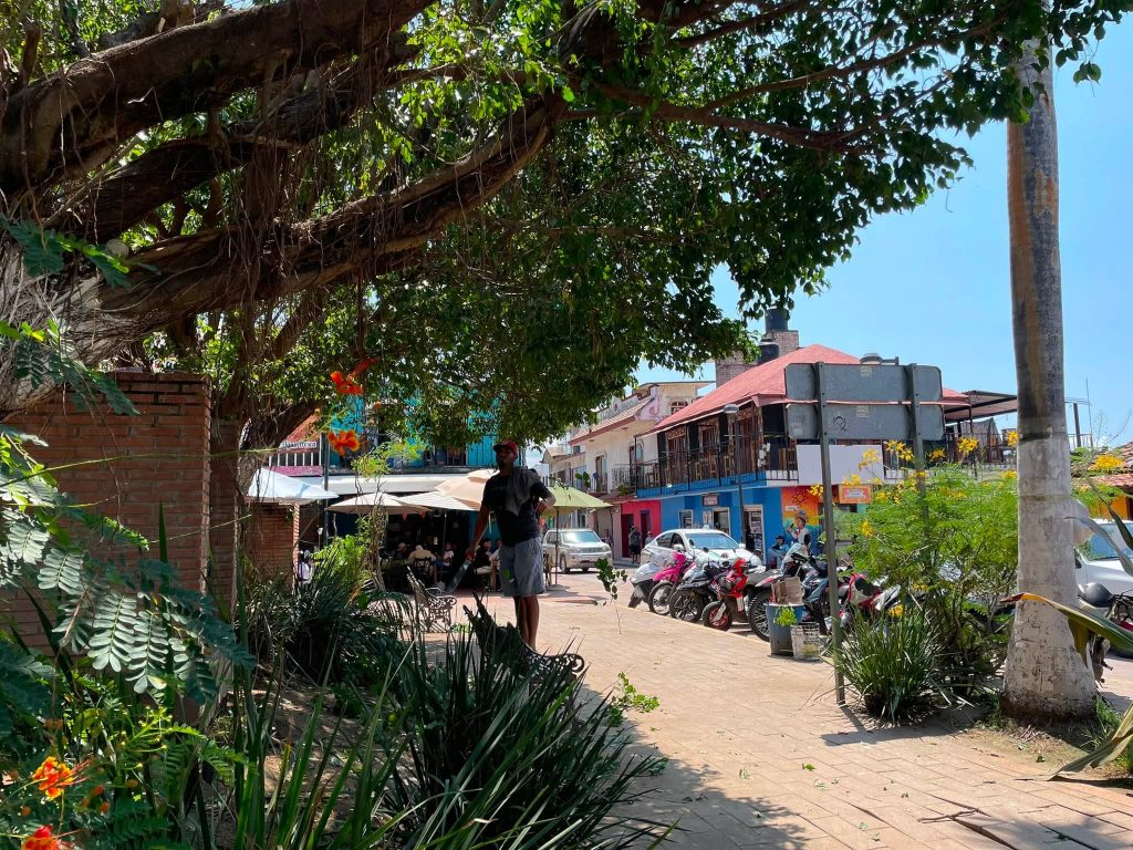 San Blas refuerza el mantenimiento de la Plaza Principal con trabajos de poda preventiva