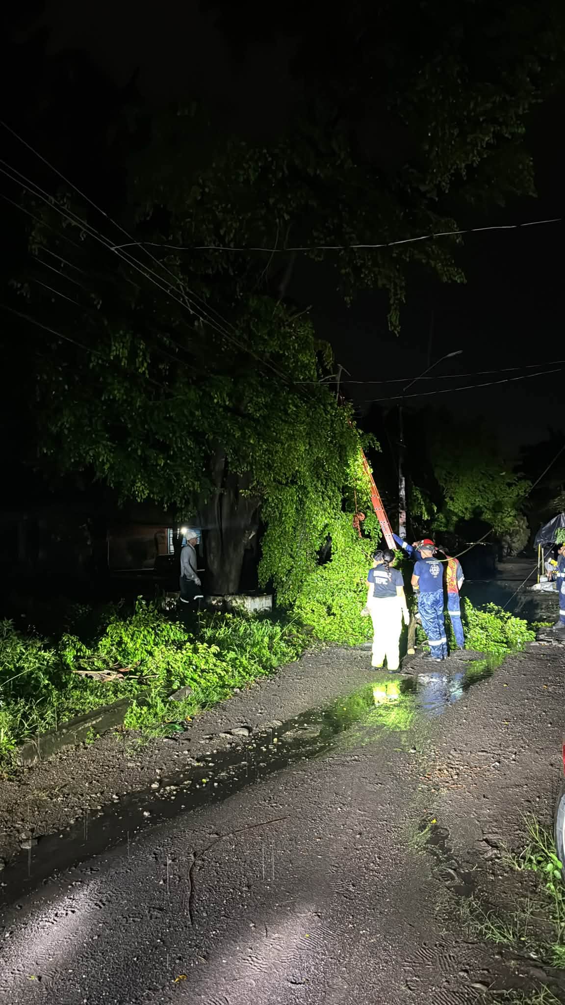 Tepic mantiene atención inmediata ante afectaciones provocadas por las lluvias