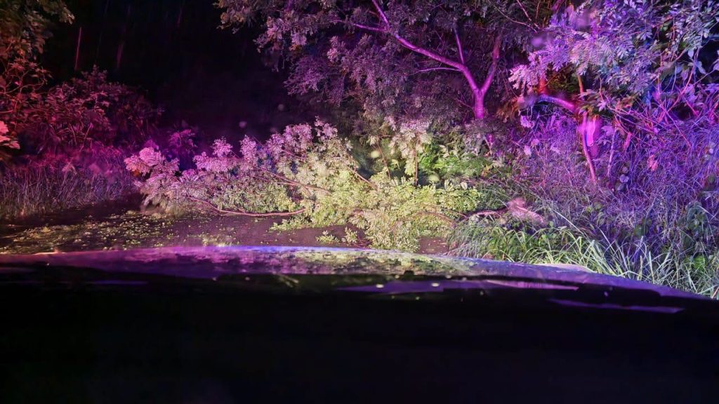 Árboles caídos son retirados tras tormenta en el camino a Amado Nervo, San Pedro Lagunillas