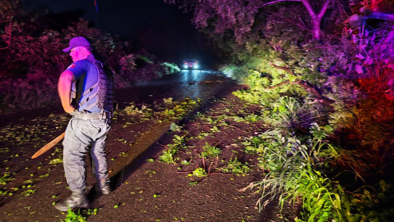 Árboles caídos son retirados tras tormenta en el camino a Amado Nervo, San Pedro Lagunillas