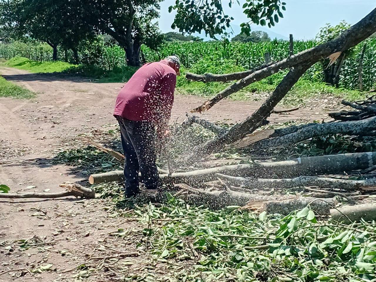 Protección Civil de San Pedro Lagunillas mantiene atención a reportes por lluvias y fuertes vientos