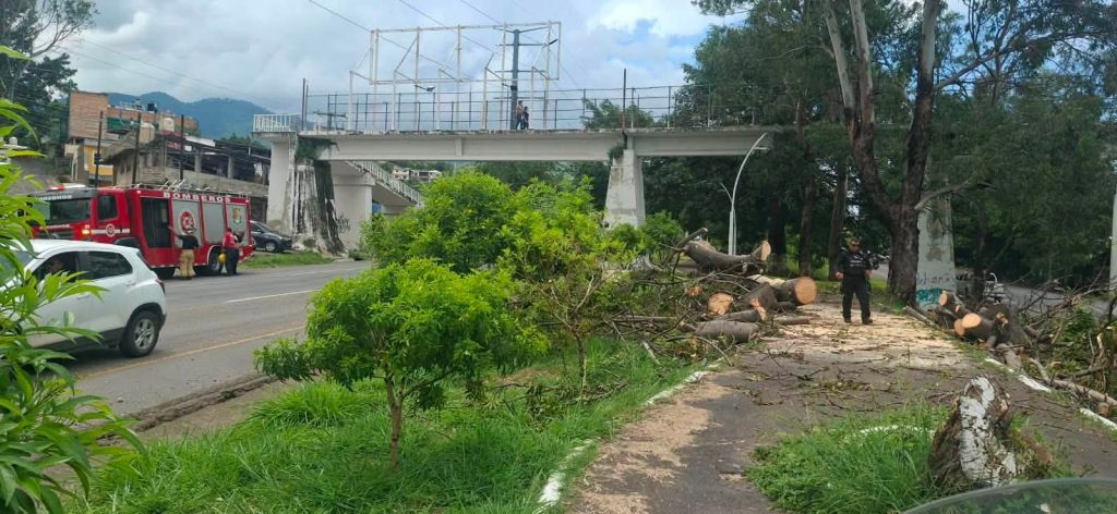 Gobierno de Nayarit fortalece acciones preventivas en el Parque Lineal de Tepic