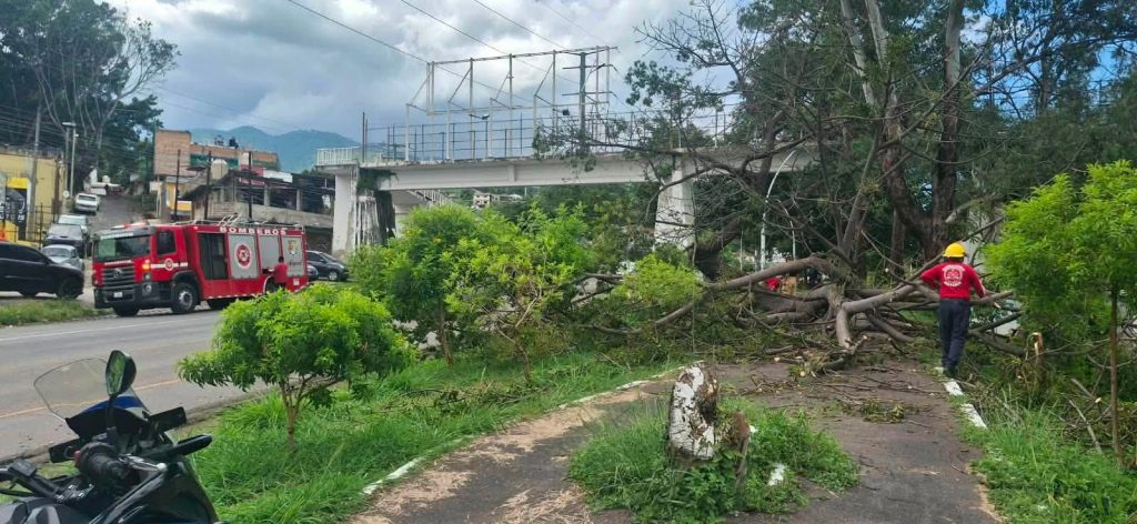 Gobierno de Nayarit fortalece acciones preventivas en el Parque Lineal de Tepic