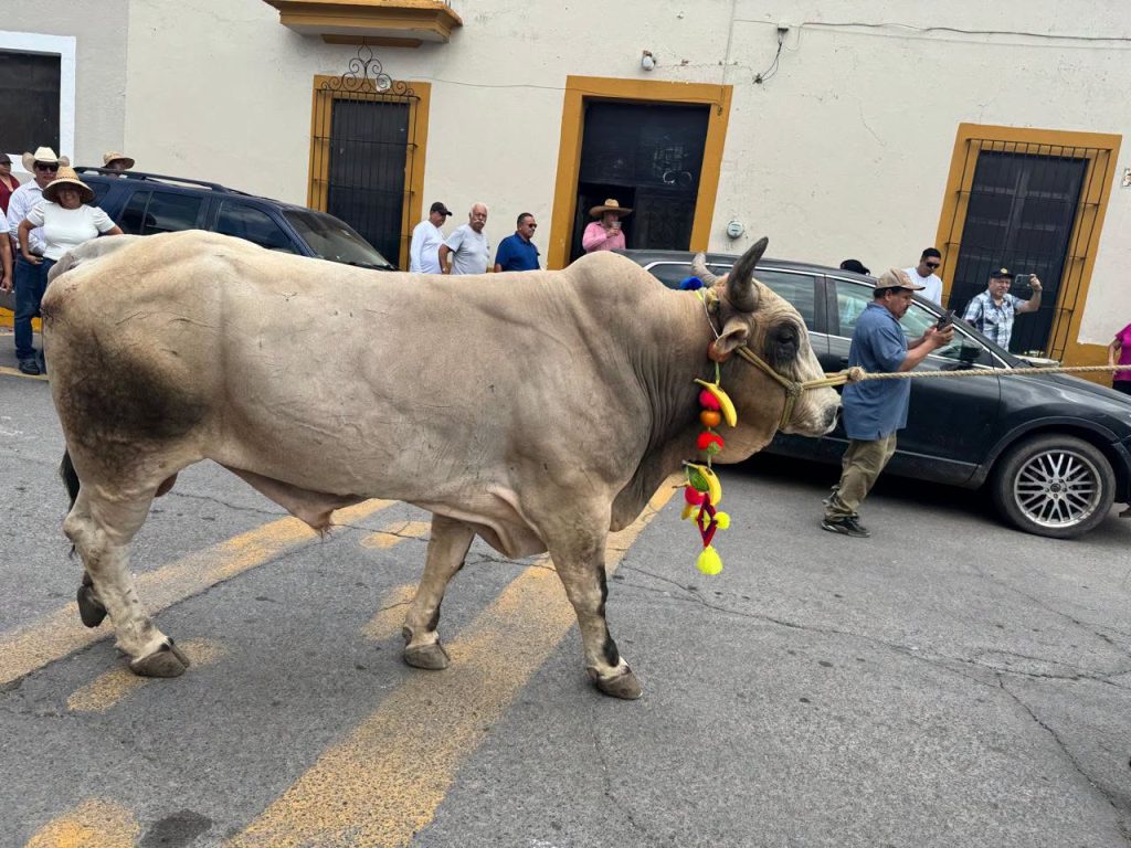 Ahuacatlán realiza tradicional Toro de Once durante las Fiestas de Octubre