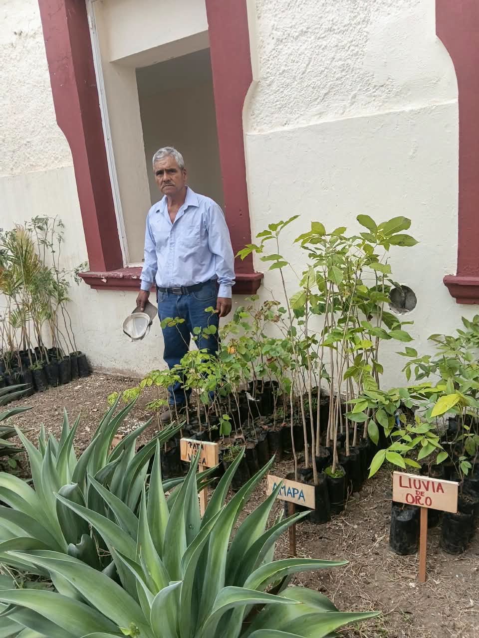 Ahuacatlán recibe donación de 150 árboles para reforestación y proyectos ambientales