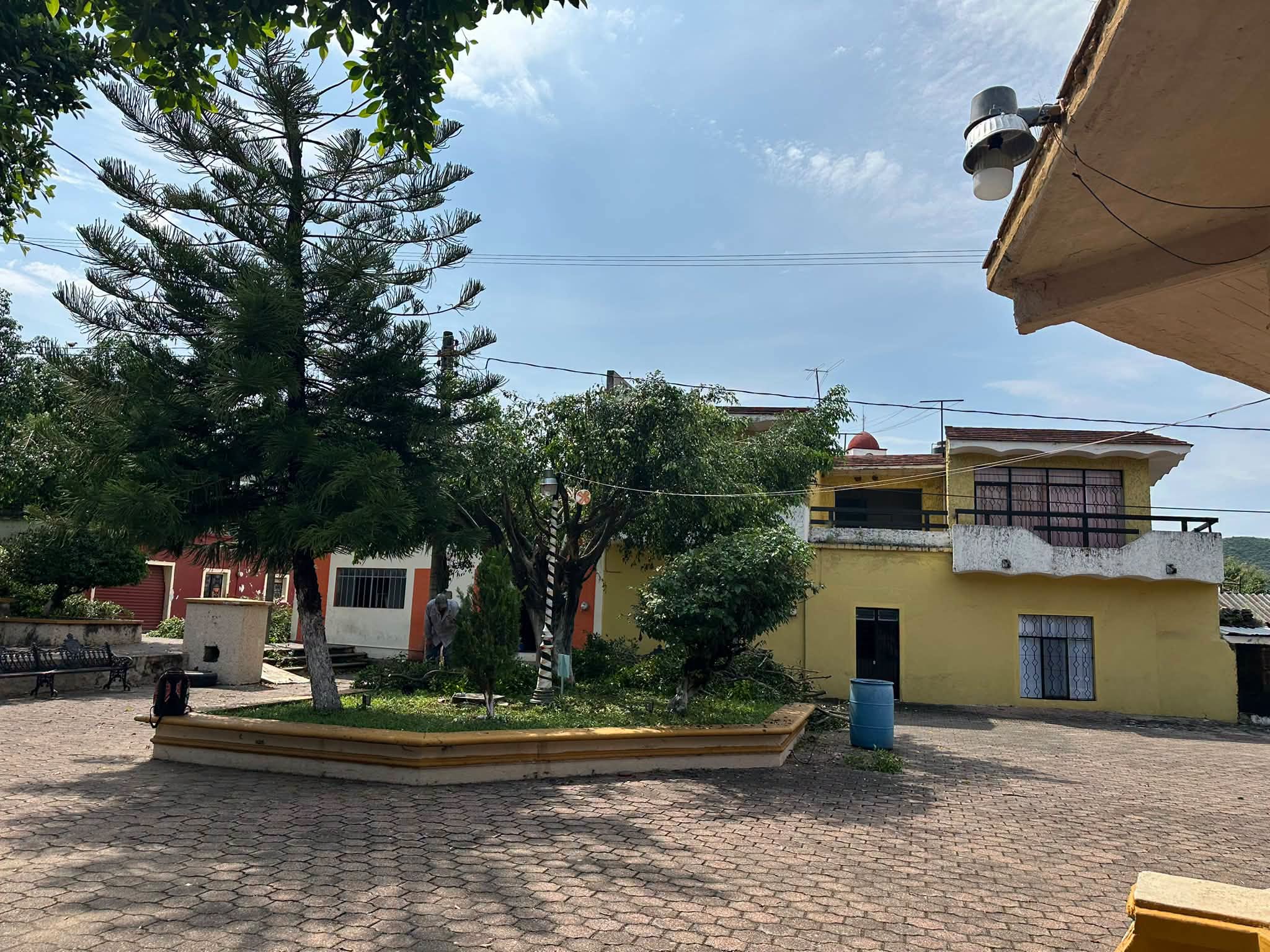 Ahuacatlán inicia poda de árboles en la Plaza Principal previo a las Fiestas Patronales 2026