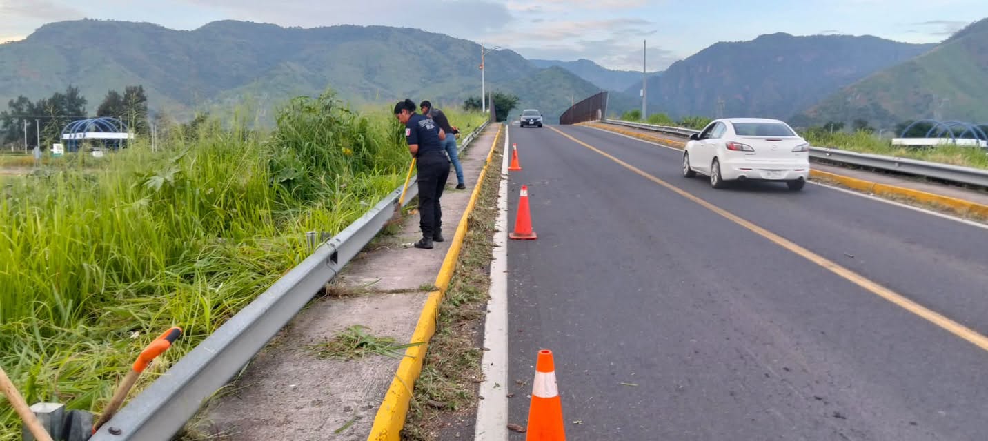 Jala realiza limpieza y retiro de maleza en el acceso al municipio