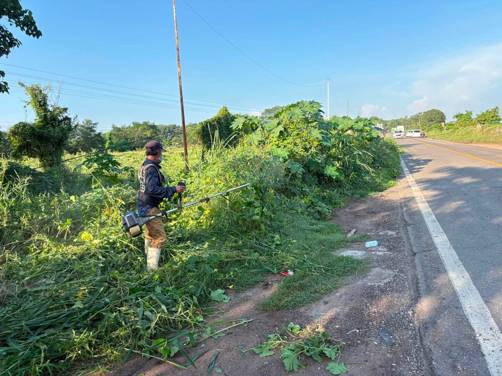 Tuxpan realiza poda y limpieza en la entrada principal del municipio