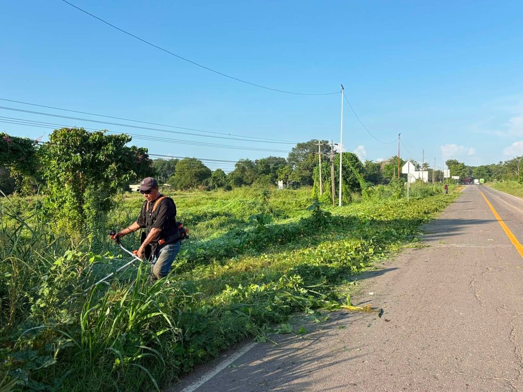 Tuxpan realiza poda y limpieza en la entrada principal del municipio