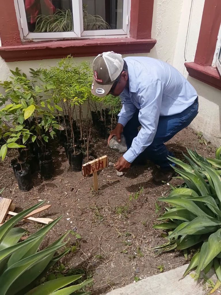 Ahuacatlán recibe donación de 150 árboles para reforestación y proyectos ambientales