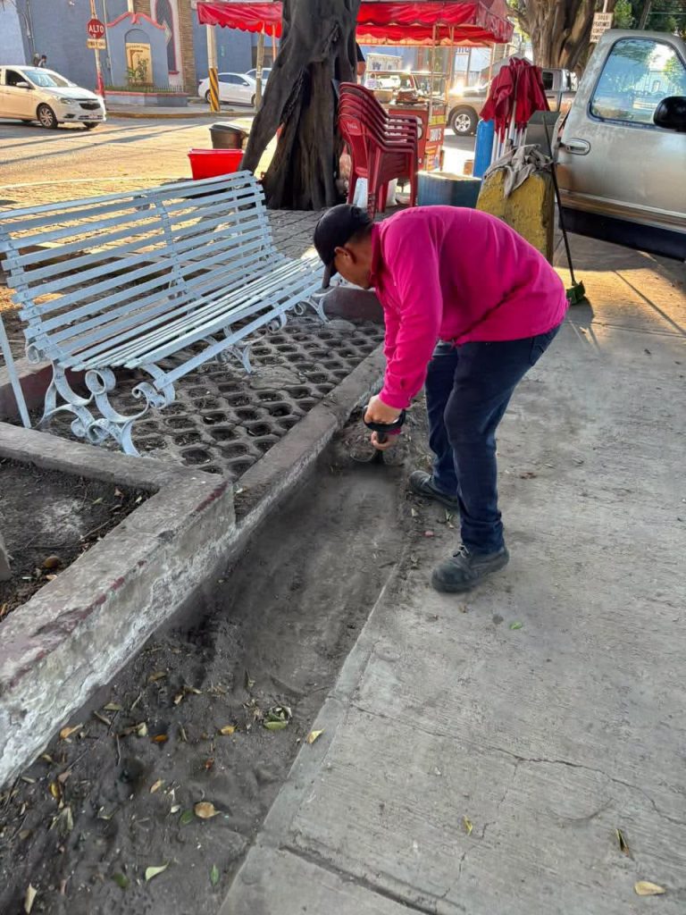 Gobierno de Tepic mantiene labores de limpieza en la calzada del Panteón Hidalgo por el Día de Muertos