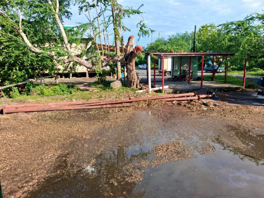 San Blas realiza trabajos de mantenimiento en distintas áreas del puerto
