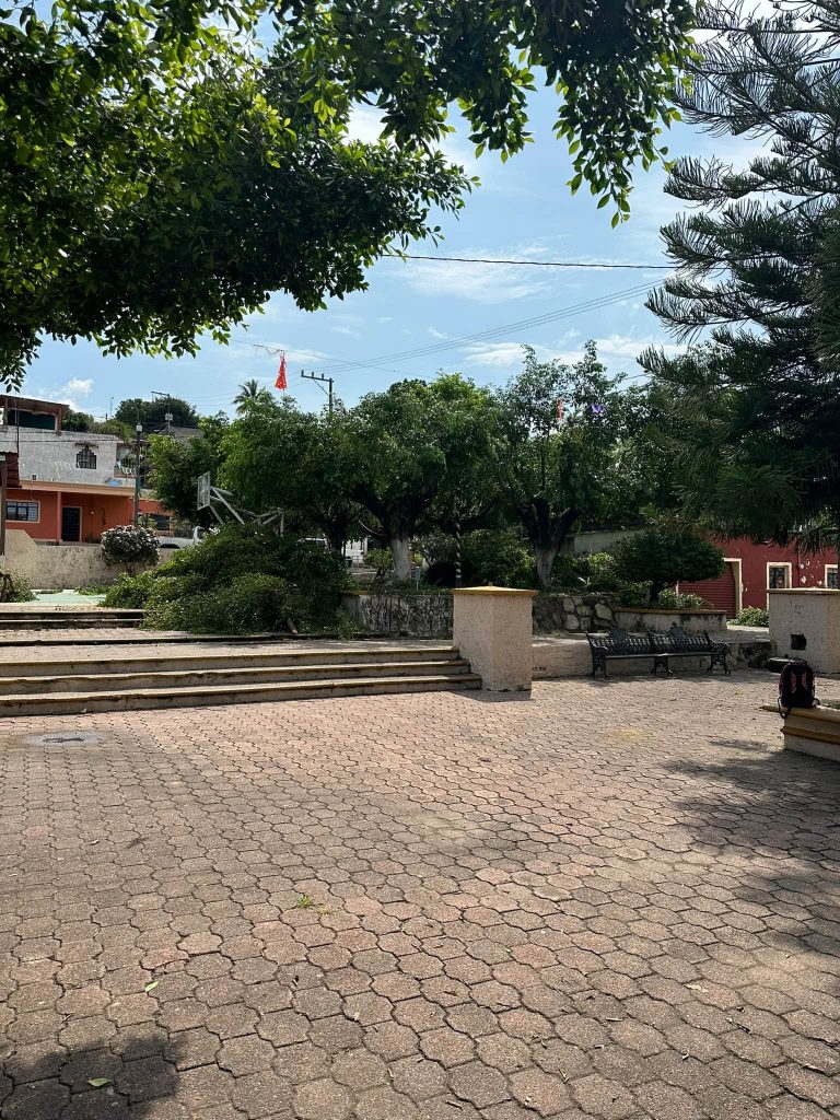 Ahuacatlán inicia poda de árboles en la Plaza Principal previo a las Fiestas Patronales 2026
