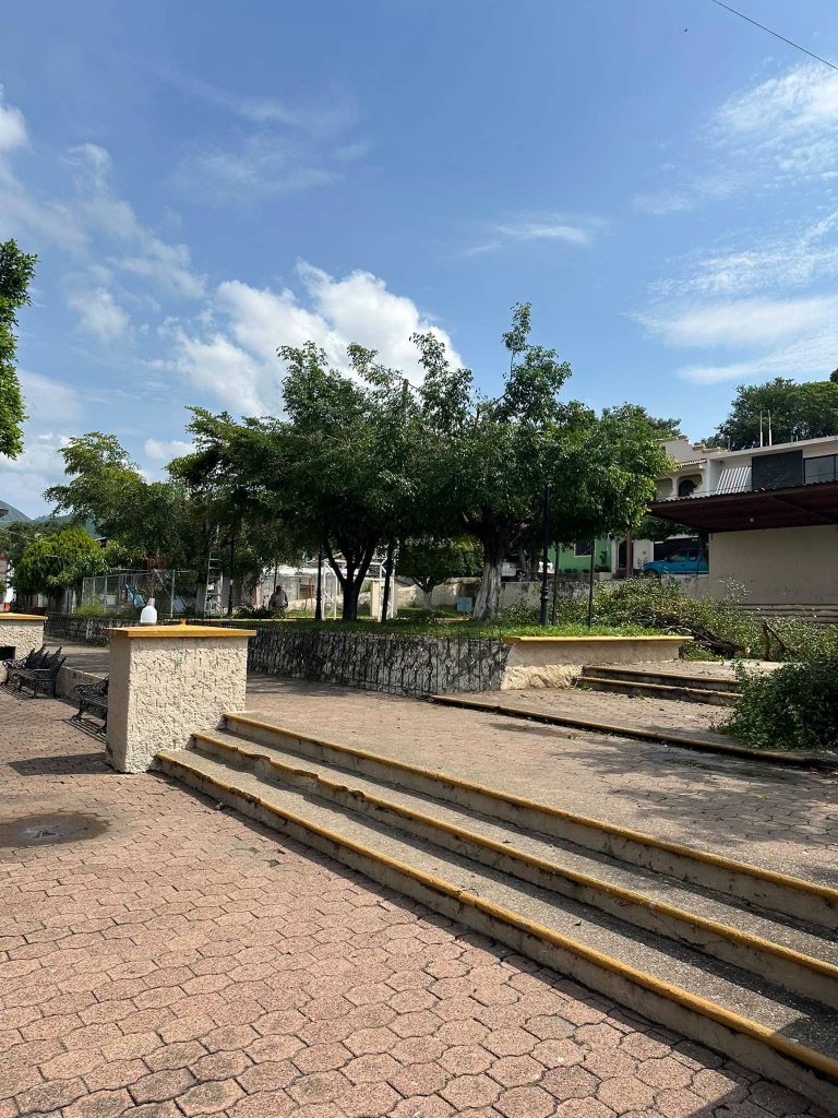 Ahuacatlán inicia poda de árboles en la Plaza Principal previo a las Fiestas Patronales 2026