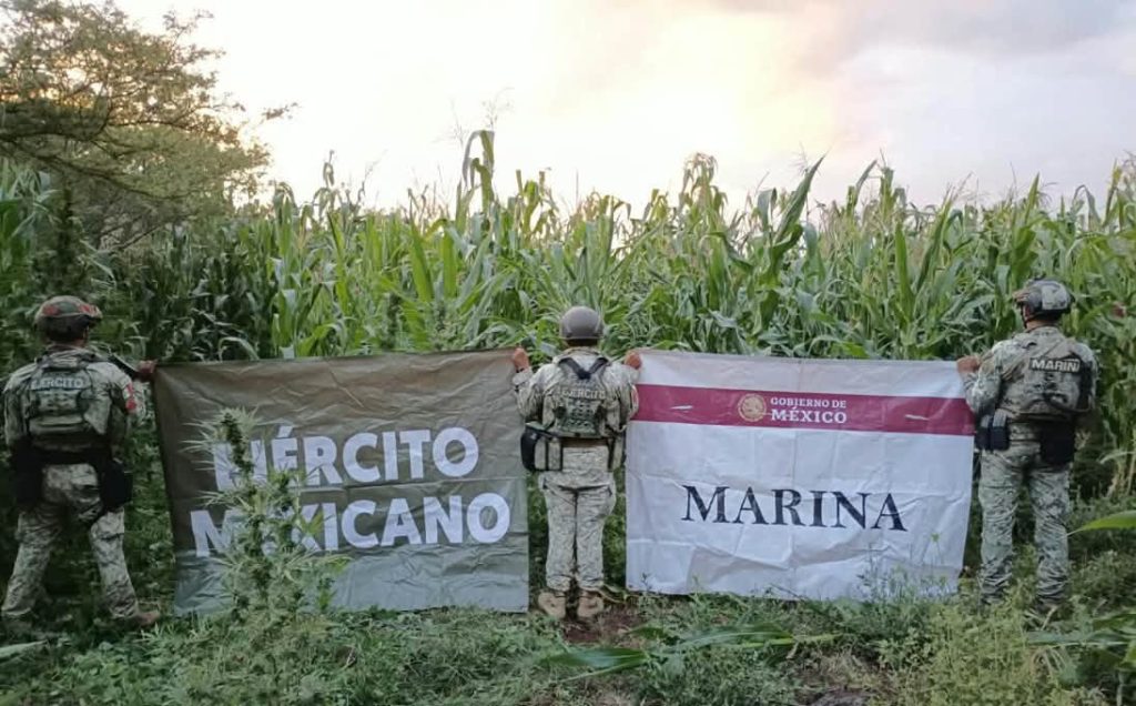 Nayarit fortalece seguridad y atención a comunidades mediante acciones coordinadas