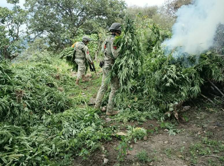 Nayarit mantiene operativos de seguridad y prevención ante los efectos del huracán Simón